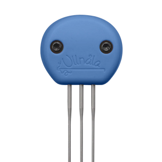 Needle felting course February 8th and 9th, 2025